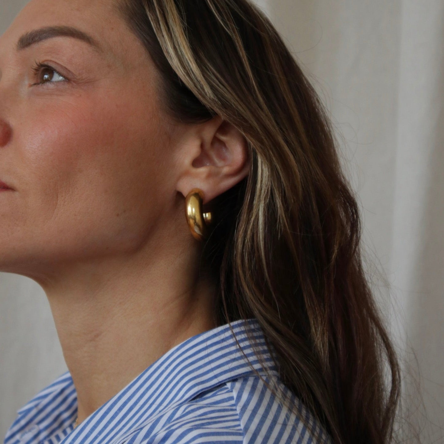 Tern Hoop Earrings Small