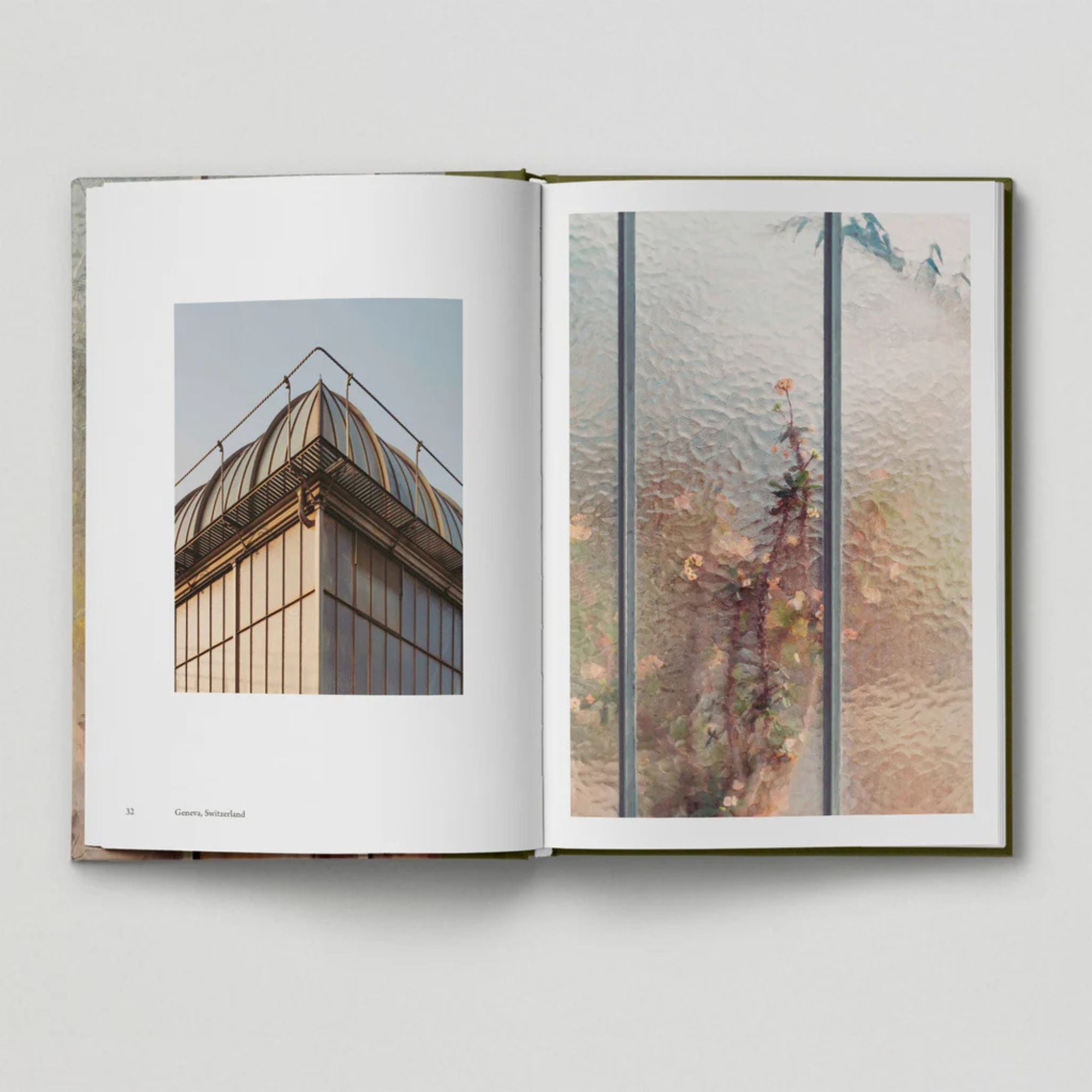 The Botanical City (Book 6: Tales from the City)