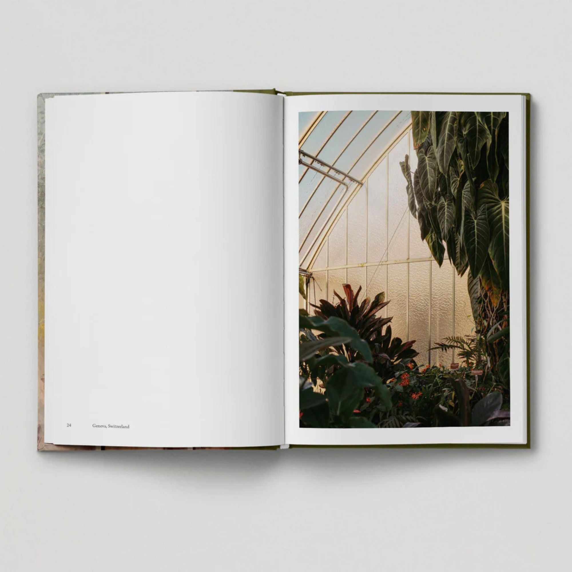 The Botanical City (Book 6: Tales from the City)