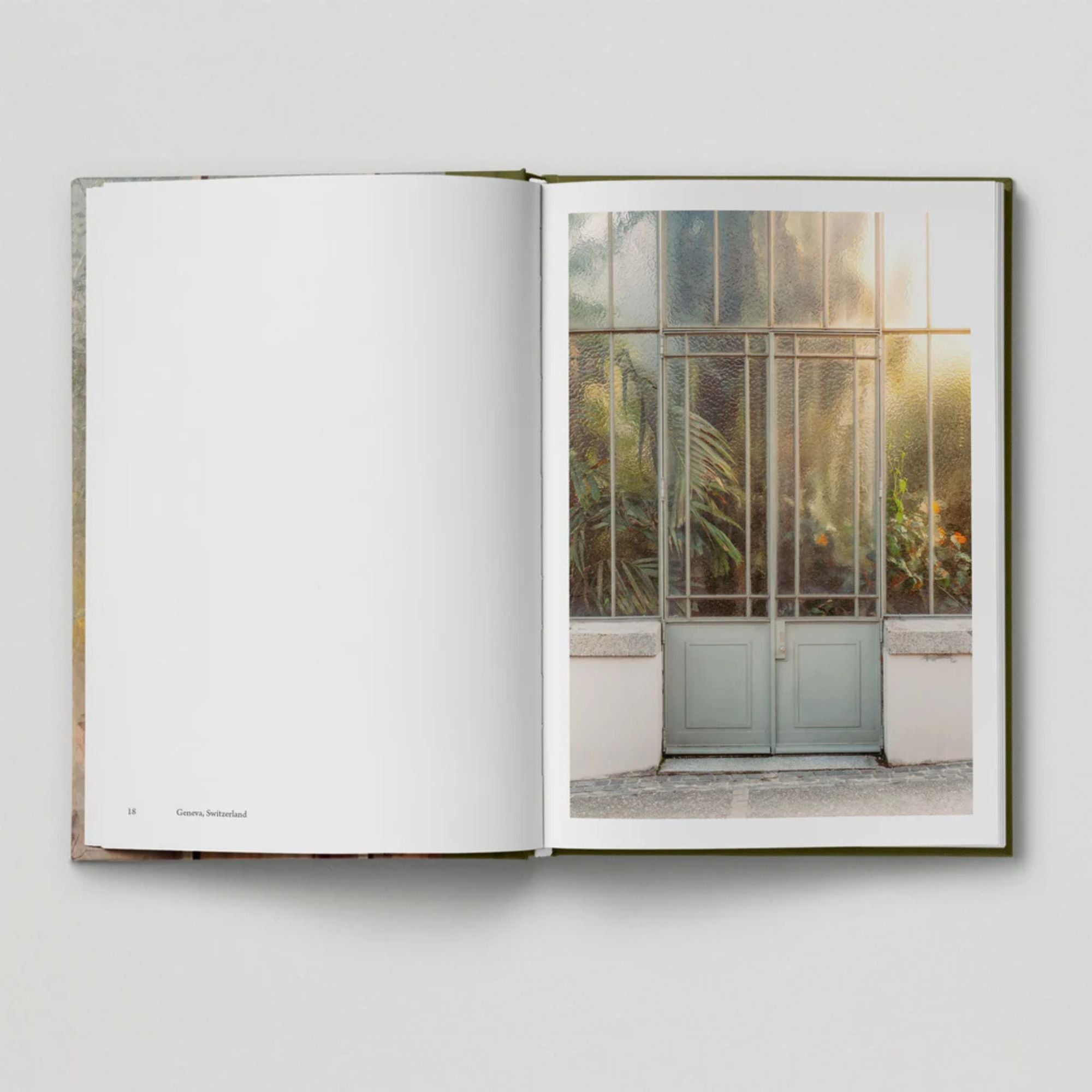 The Botanical City (Book 6: Tales from the City)