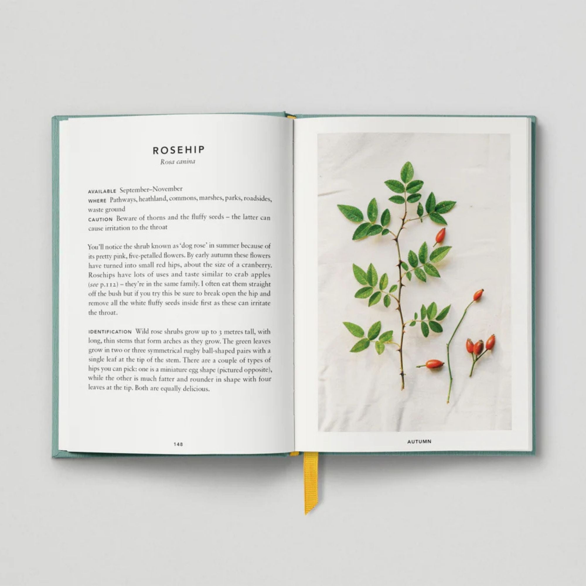 The Urban Forager - Find And Cook Wild Food In The City