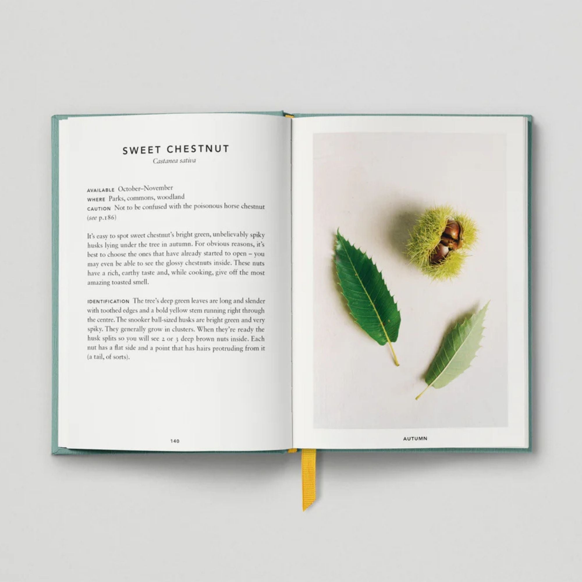 The Urban Forager - Find And Cook Wild Food In The City