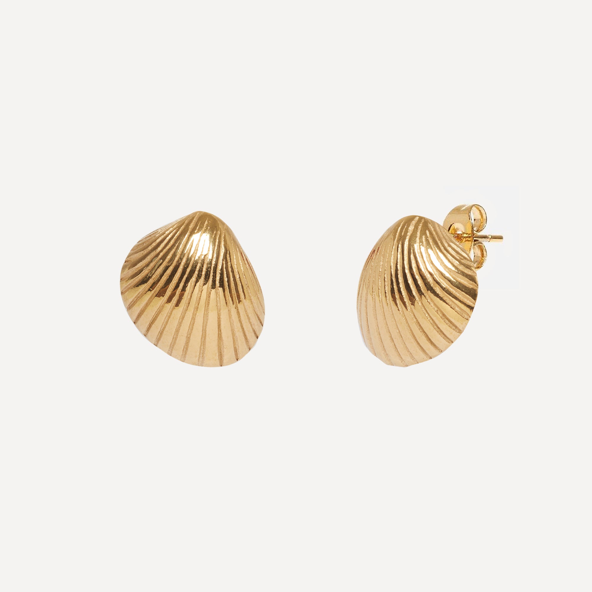 Cockle Stud Earrings