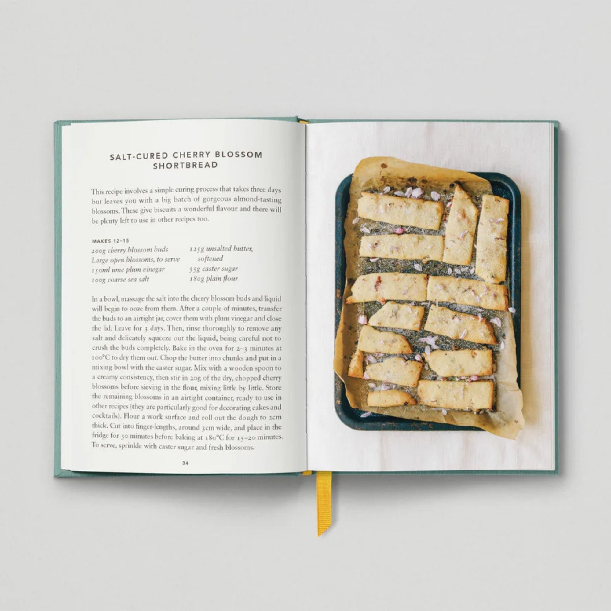 The Urban Forager - Find And Cook Wild Food In The City