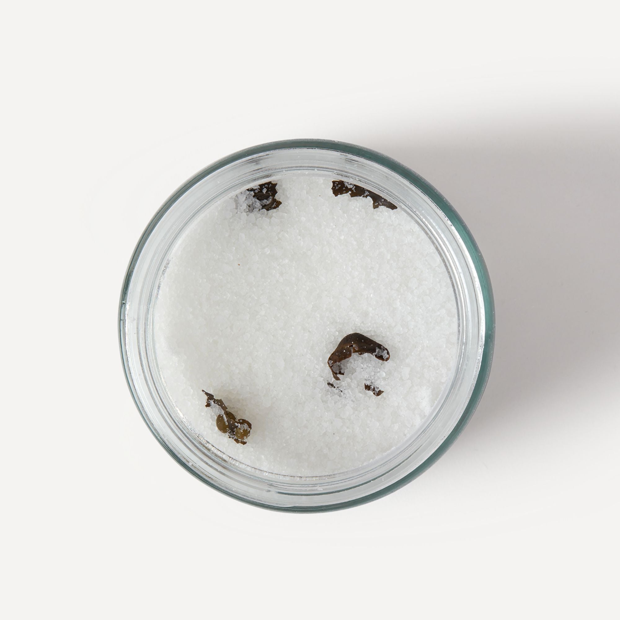 Water Bath Salts