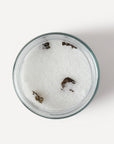 Water Bath Salts