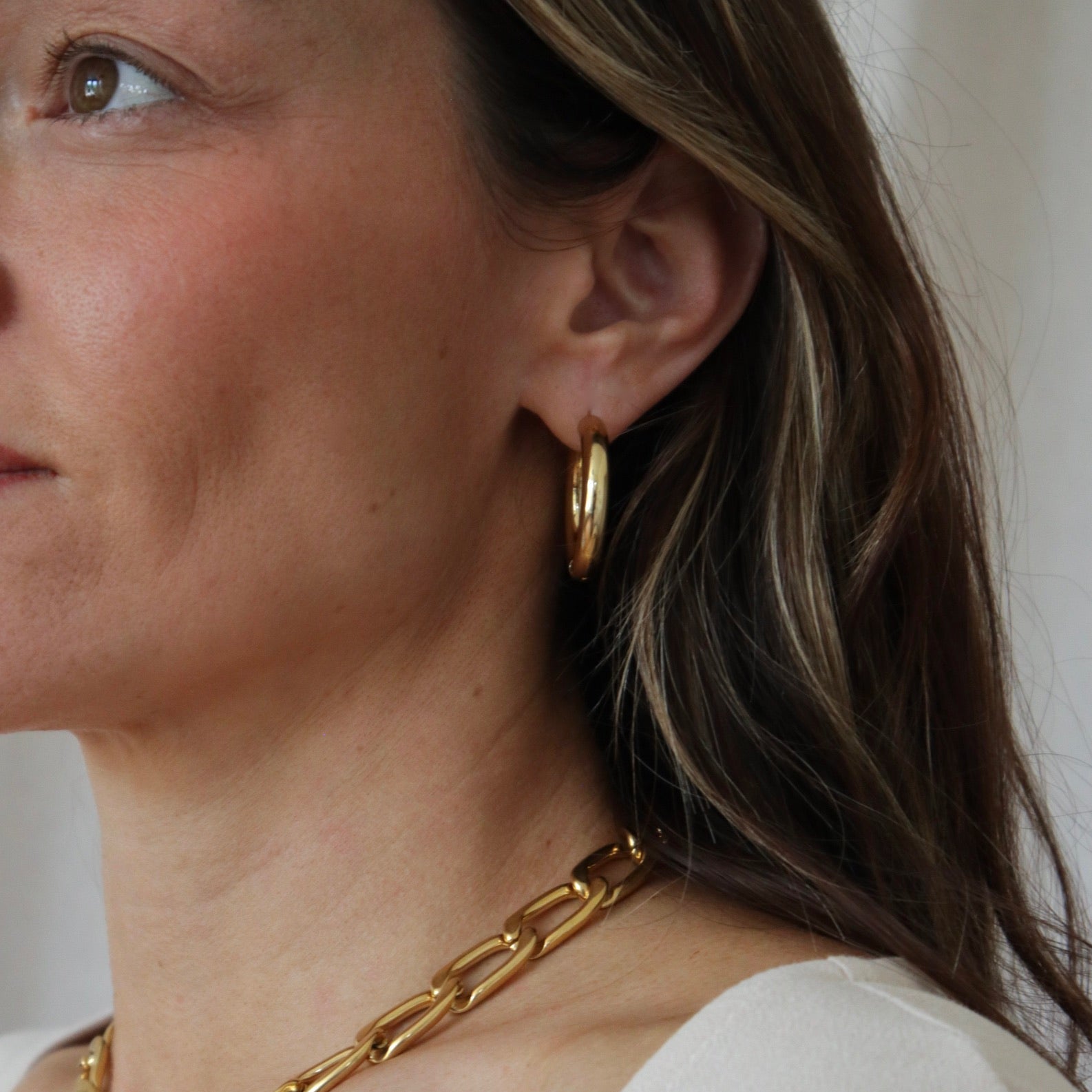 Petrel Hoop Earrings Large
