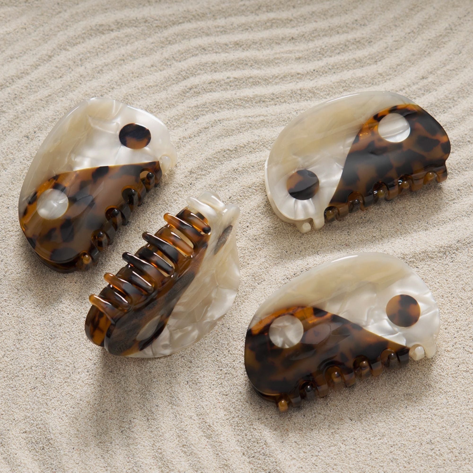 Small Yin-Yang Claw Tortoise