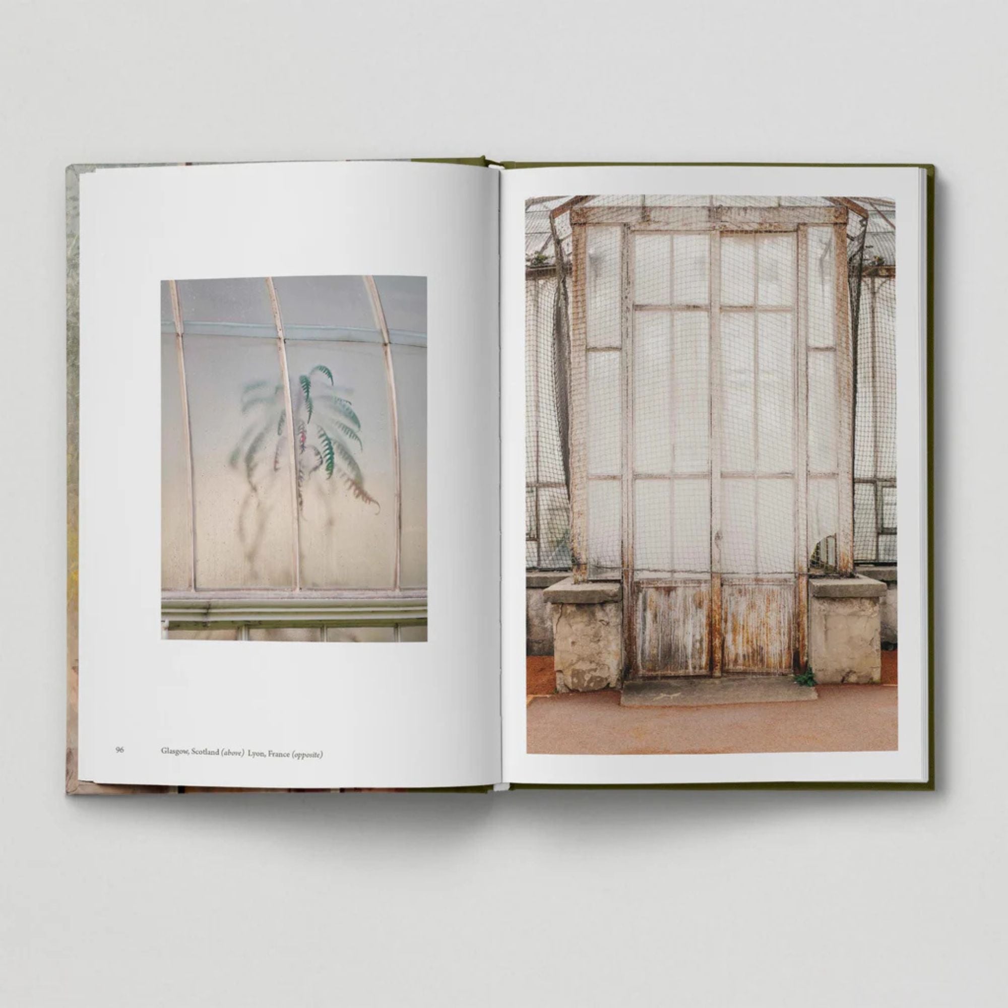 The Botanical City (Book 6: Tales from the City)