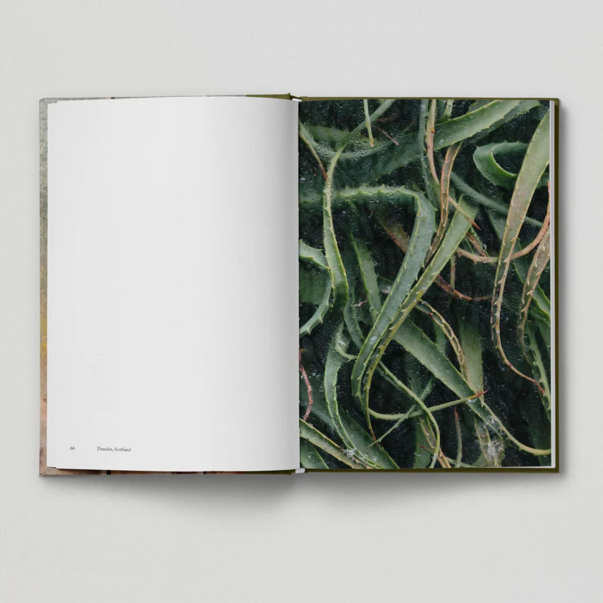 The Botanical City (Book 6: Tales from the City)