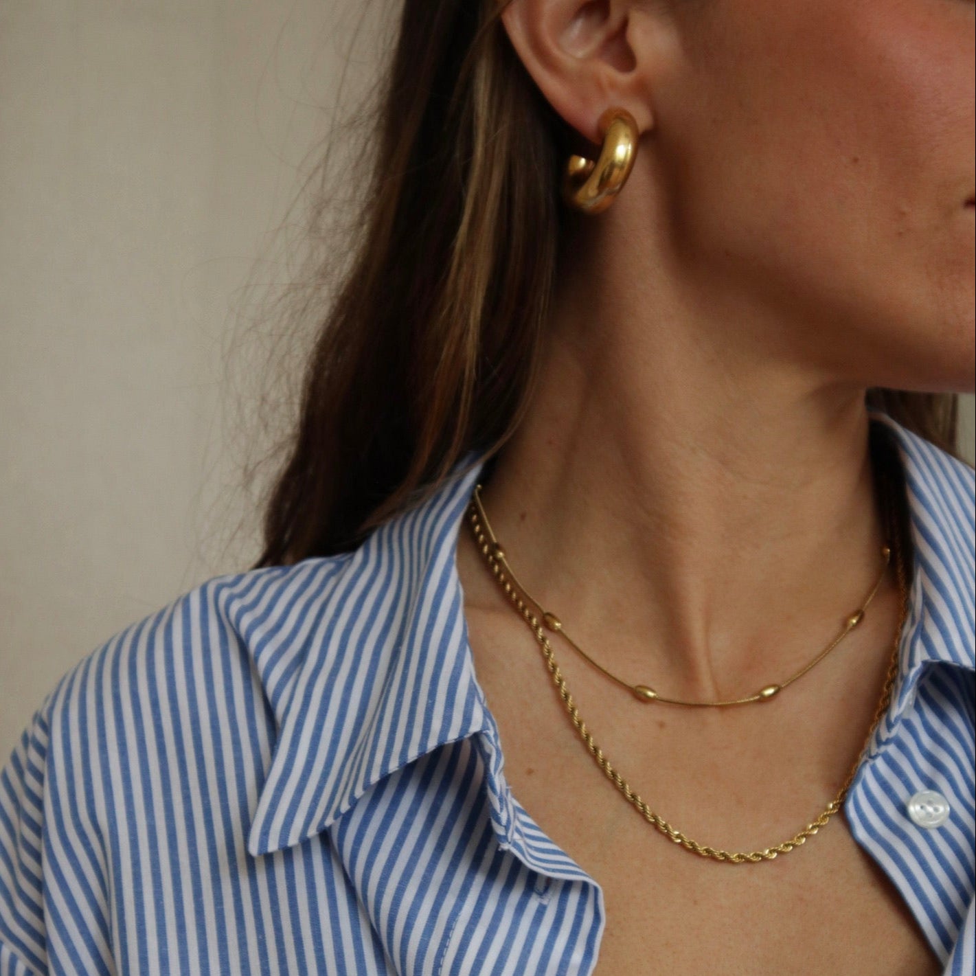 Tern Hoop Earrings Small