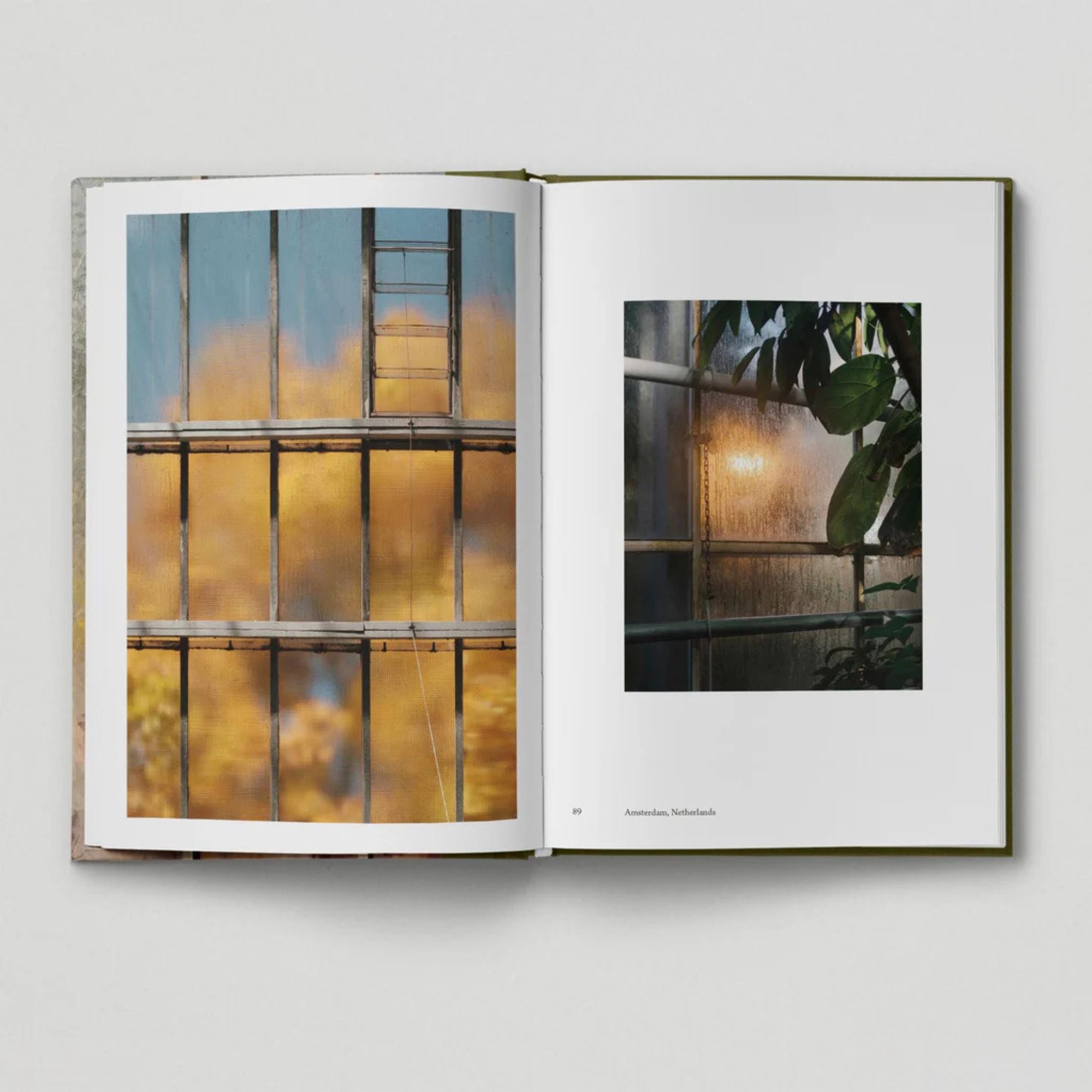 The Botanical City (Book 6: Tales from the City)