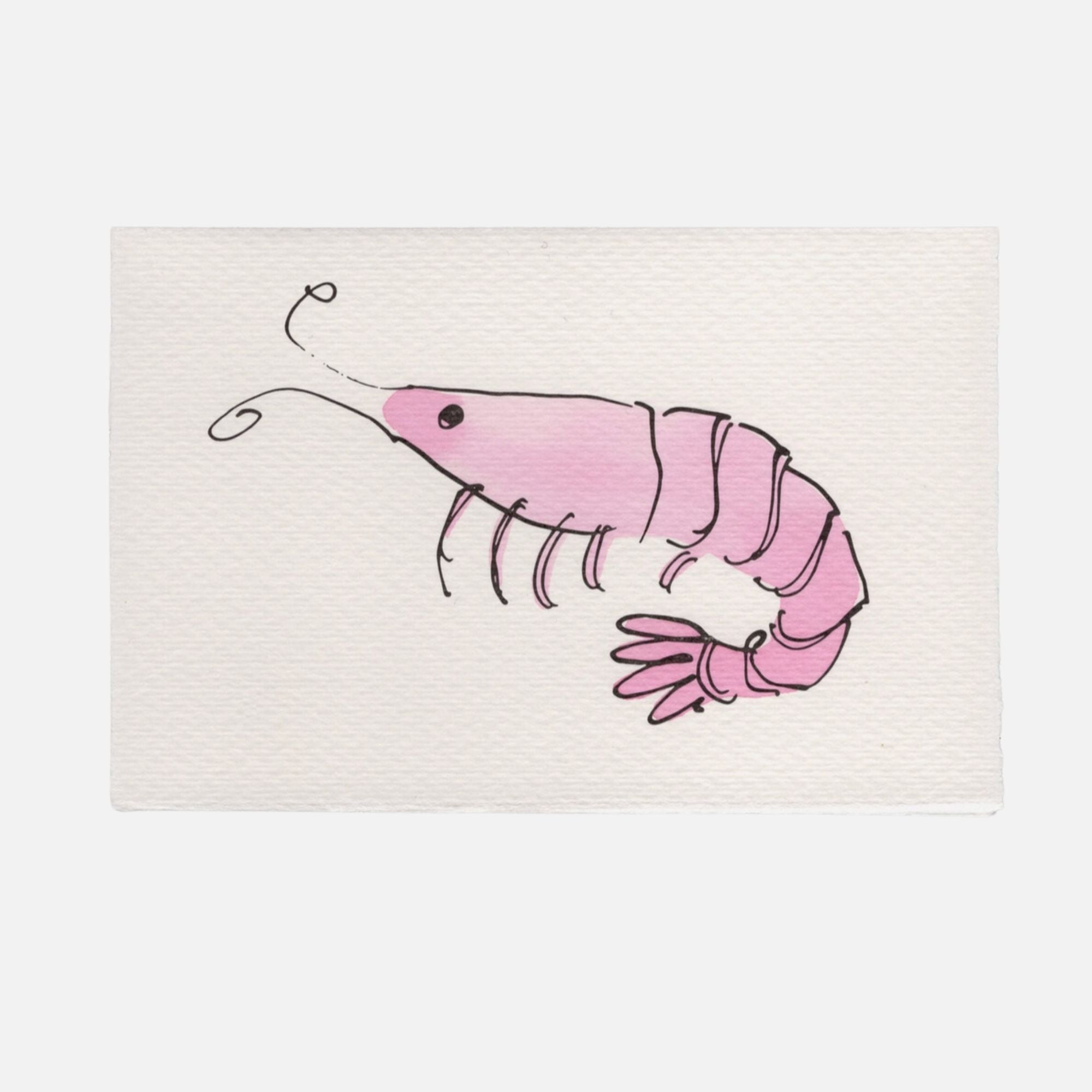 Shrimp Greetings Card