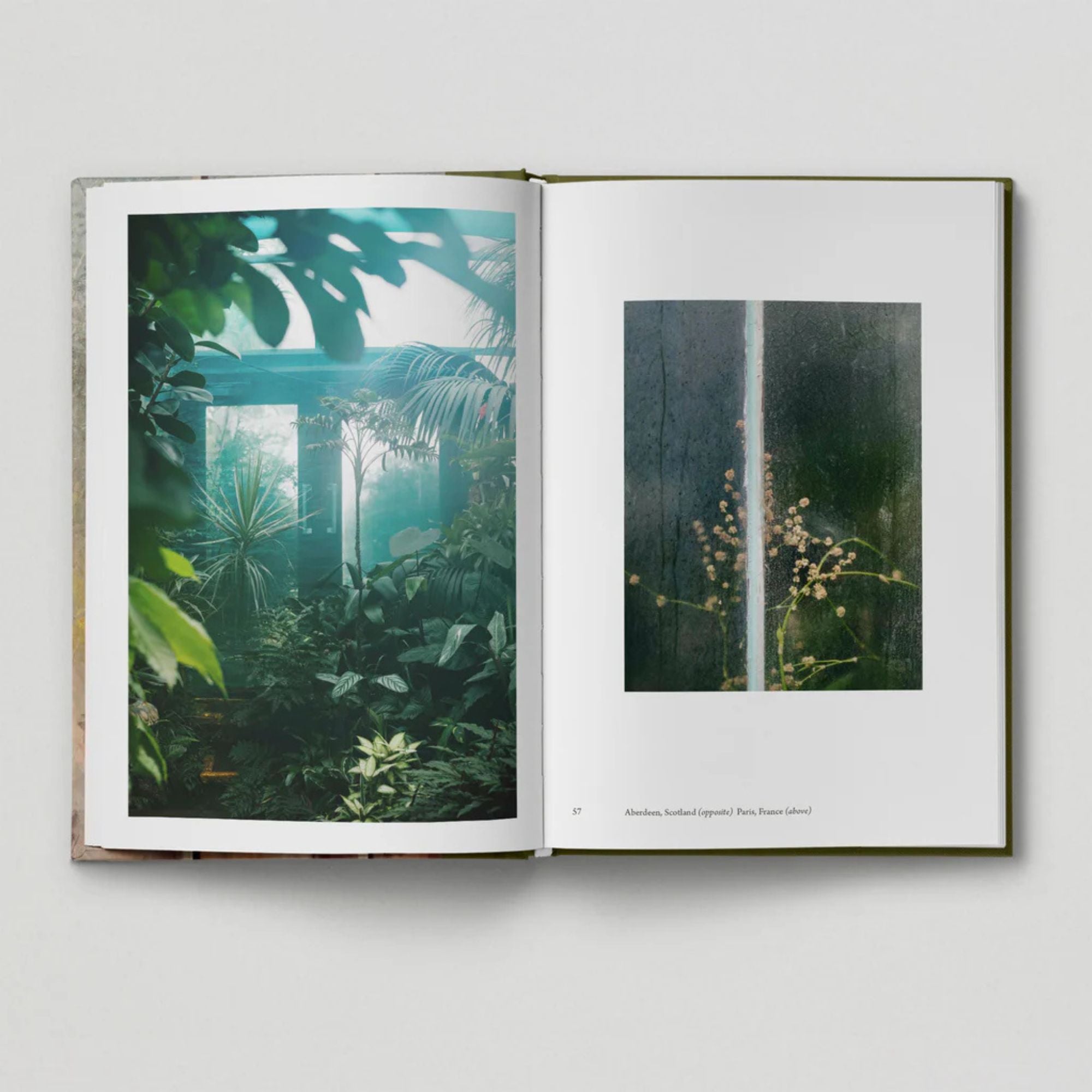 The Botanical City (Book 6: Tales from the City)