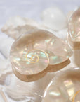 Siren Sea Shell Opal Acetate Mini Hair Claw for a Mermaid