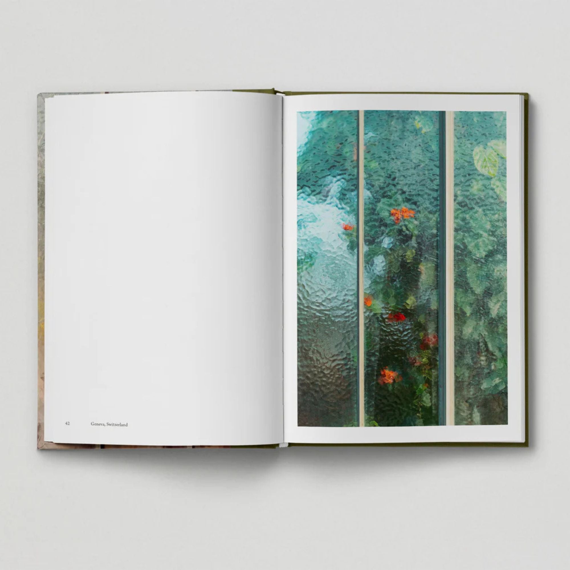 The Botanical City (Book 6: Tales from the City)