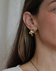 Shell Earrings