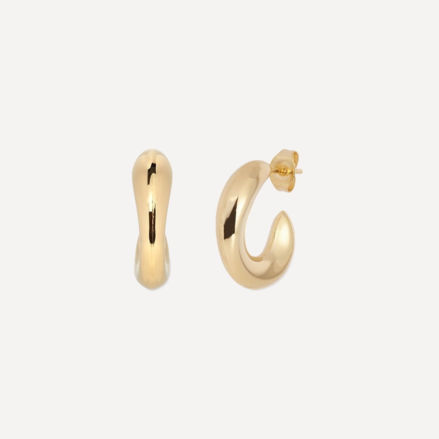 Oyster Catcher Earrings