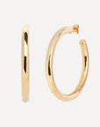 Gull Hoop Earrings