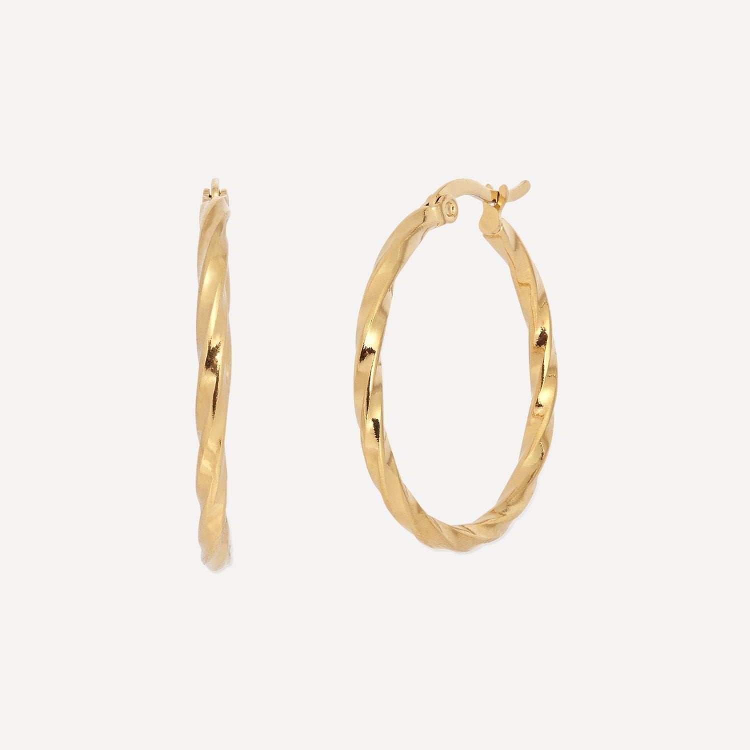Curlew Hoop Earrings