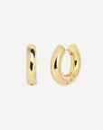 Petrel Hoop Earrings Small