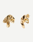 Shell Earrings