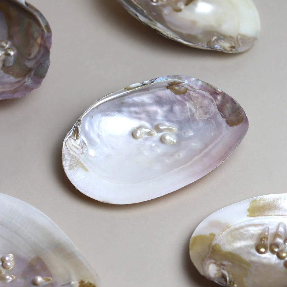Pearl Shell Trinket Dish