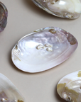 Pearl Shell Trinket Dish