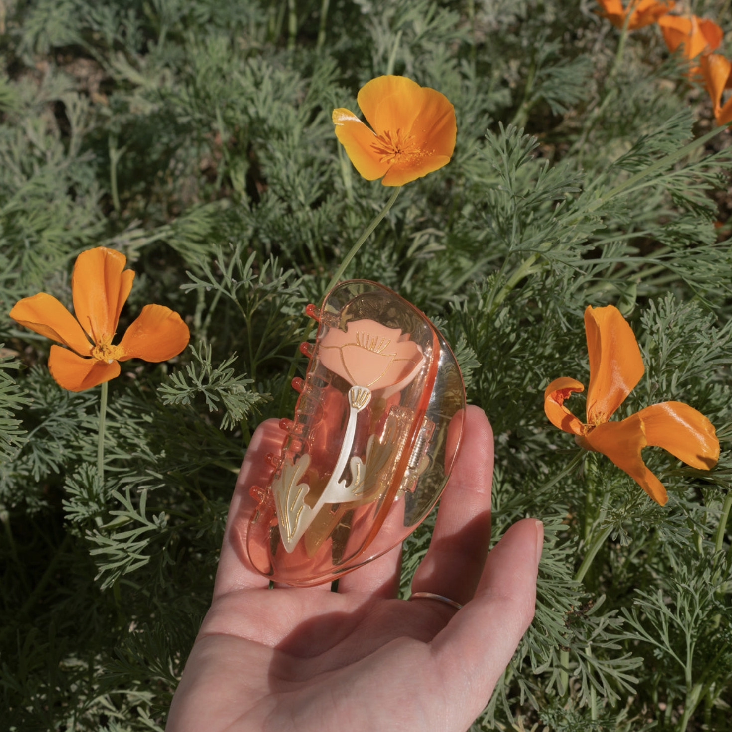 California Poppy Claw