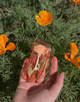 California Poppy Claw