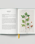 The Urban Forager - Find And Cook Wild Food In The City