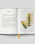 The Urban Forager - Find And Cook Wild Food In The City