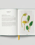 The Urban Forager - Find And Cook Wild Food In The City