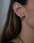 Oyster Catcher Earrings