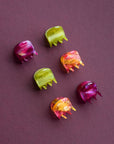 Mini Claw Set of 6 - Tutti Frutti