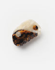 Small Yin-Yang Claw Tortoise