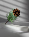 Lilo Incense Holders - Milky White