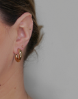 Oyster Catcher Earrings