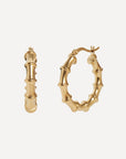 Swale Earrings