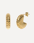 Fossil Earrings