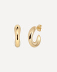 Oyster Catcher Earrings
