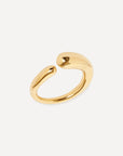 Plaice Ring
