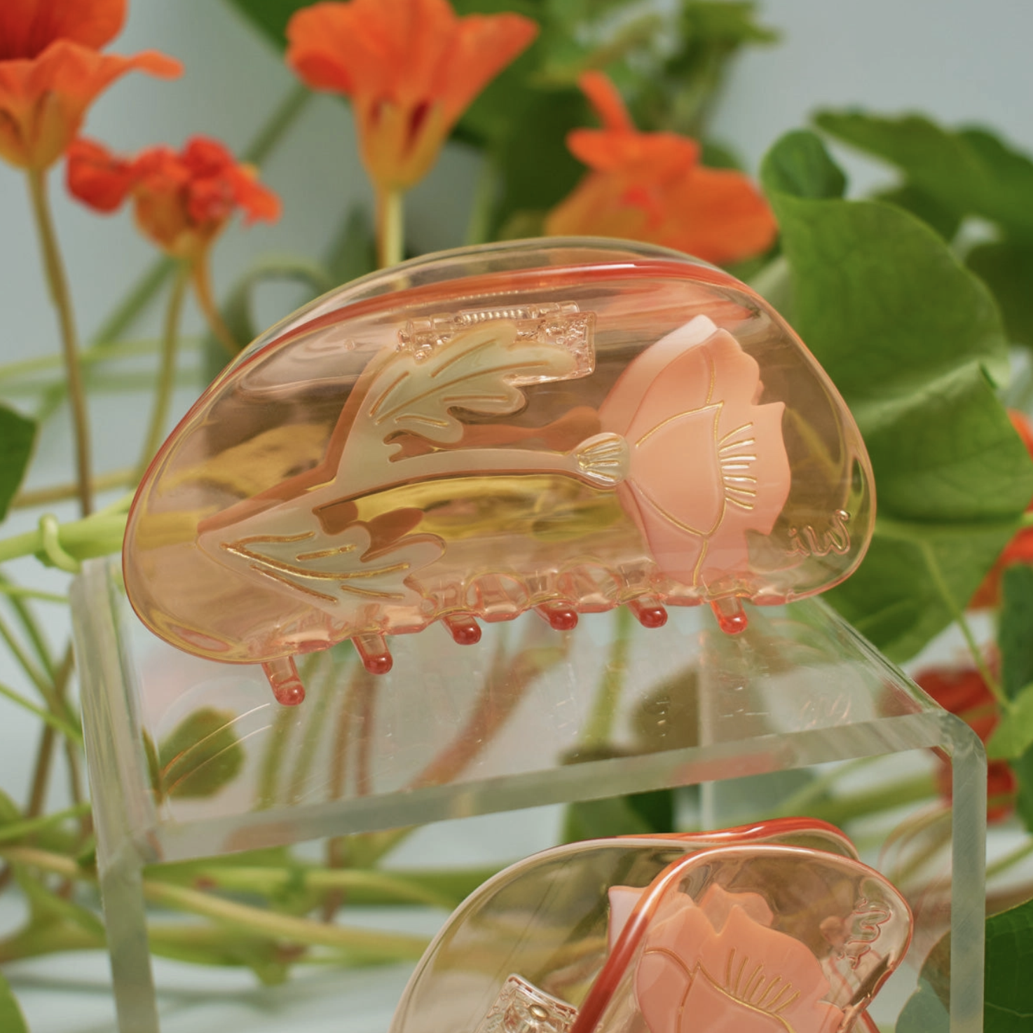 California Poppy Claw