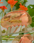 California Poppy Claw