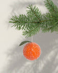 Frosted Clementine Christmas Decoration